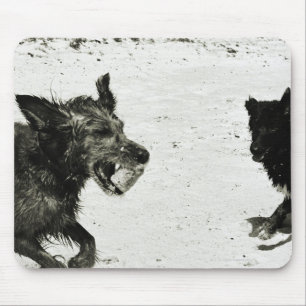 Two dogs playing on a beach. mouse pad