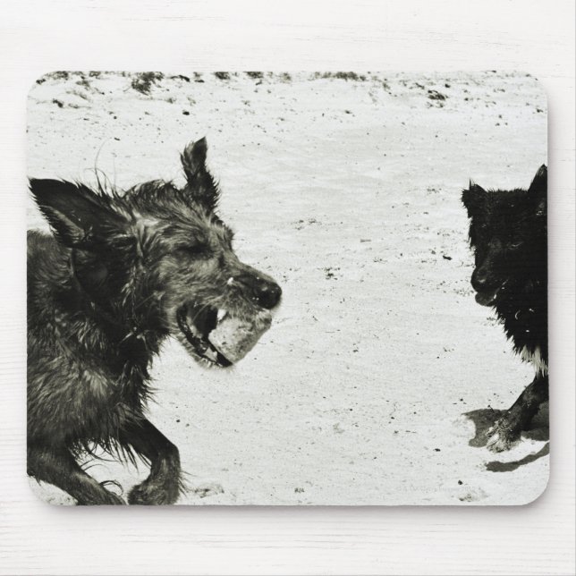 Two dogs playing on a beach. mouse pad (Front)