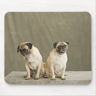 Two dogs posing on a table mouse pad