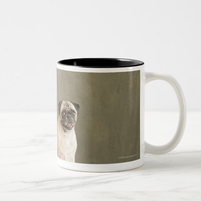 Two dogs posing on a table Two-Tone coffee mug (Right)