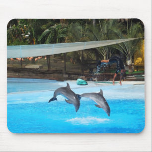 Two dolphins mouse pad