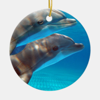 Two Dolphins swimming Ceramic Tree Decoration