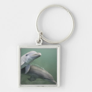 Two Dolphins underwater Key Ring
