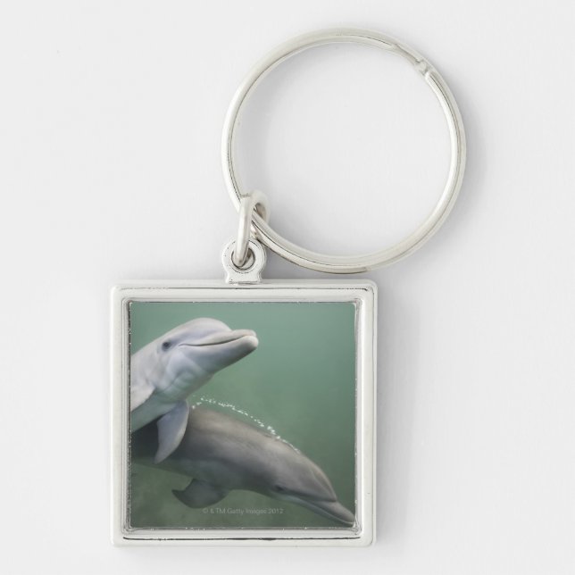 Two Dolphins underwater Key Ring (Front)