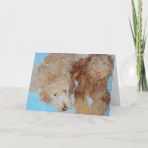 Two Doodles Greeting Card