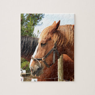 Two draught horses jigsaw puzzle