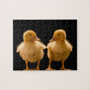 Two ducklings looking at one another jigsaw puzzle