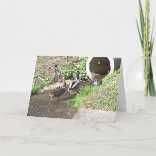 Two Ducks Moving To a New Home Card
