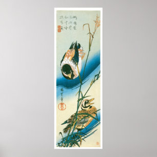 Two Ducks Swimming Among Reeds Poster