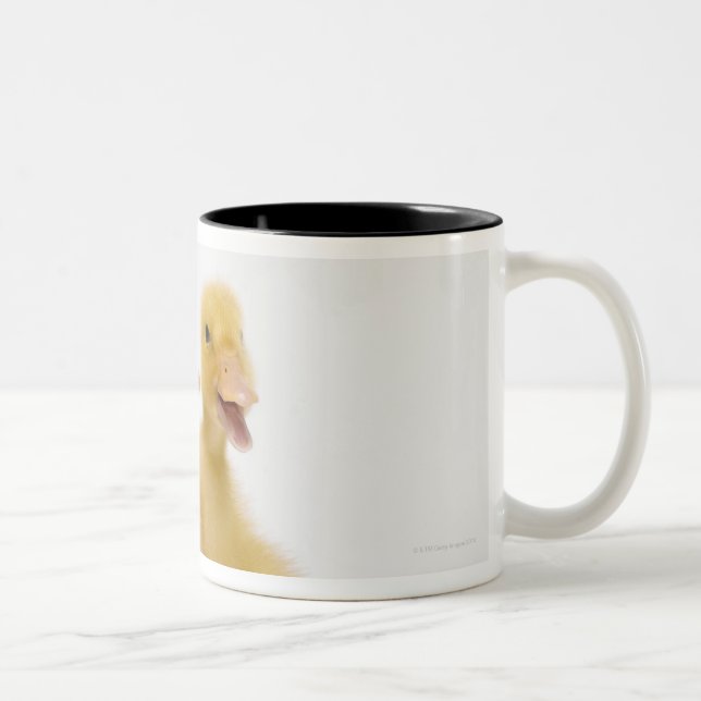 Two ducks with Easter Eggs Two-Tone Coffee Mug (Right)