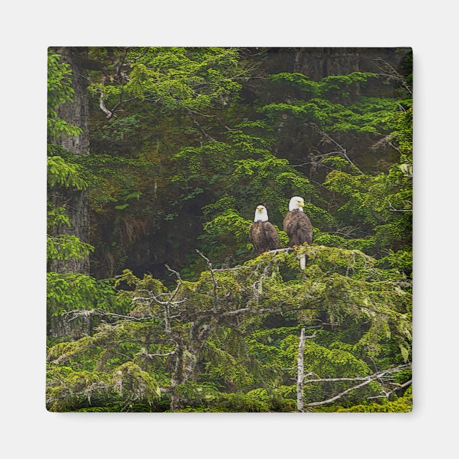 Two Eagles Perched Painterly Magnet (Front)