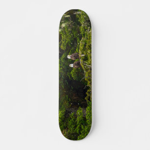 Two Eagles Perched Painterly Skateboard