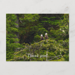 Two Eagles Perched Painterly Thank You Postcard