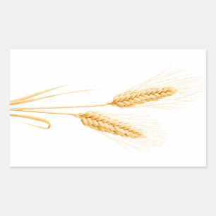 Two ears of wheat rectangular sticker