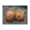 Two eggmen Dating