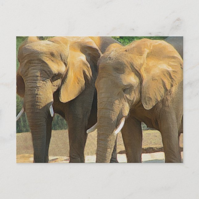 Two Elephant Friends Postcard (Front)
