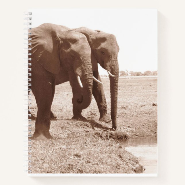 Two Elephant Spiral Notebook College Rule (Front)