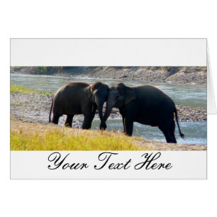 Two Elephants