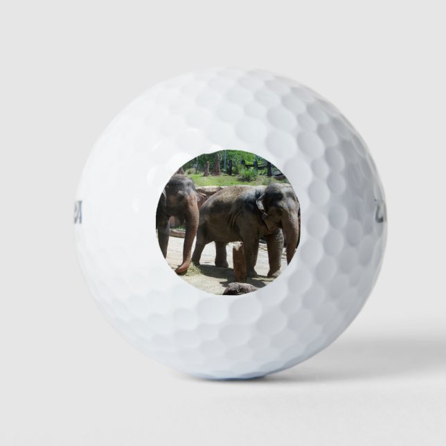 Two Elephants Golf Balls (Front)