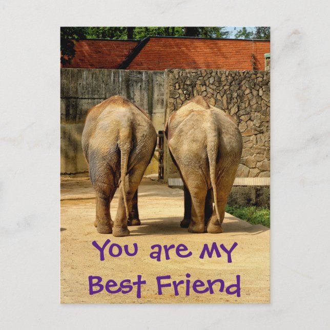Two elephants - my best friend postcard (Front)