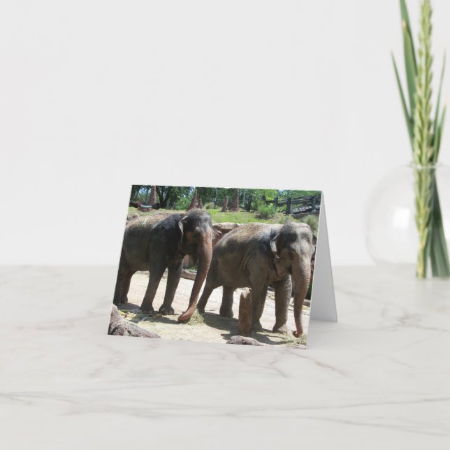 Two Elephants on a blank note card (Front)