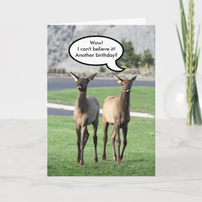 Two Elk Calves Happy Birthday Card (Front)