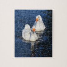 Two Emden Geese II