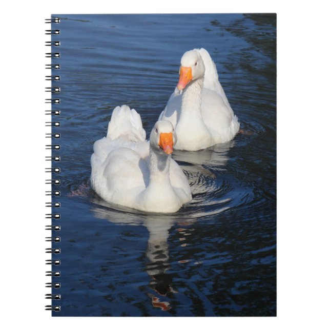 Two Emden Geese II Notebook (Front)