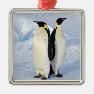 Two Emperor Penguins in Antarctica Metal Ornament