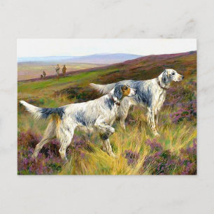 Two English Setters in a Field - Arthur Wardle Postcard