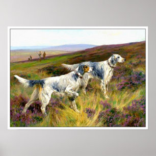 Two English Setters in a Field - Arthur Wardle Poster