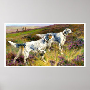 Two English Setters in a Field - Arthur Wardle Poster