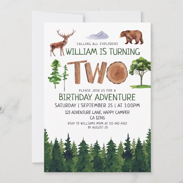 Two Explorer Adventure Boys 2nd Birthday Invitation (Front)