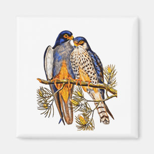 Two Falcons on a Branch Magnet