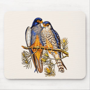 Two Falcons on a Branch Mouse Pad