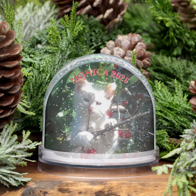 Two Family Pet Photos with Curved Text Snowglobe (Winter)