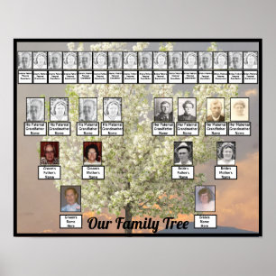 Two Family Tree Blossoms Tree Photo   Pink Sunset Poster