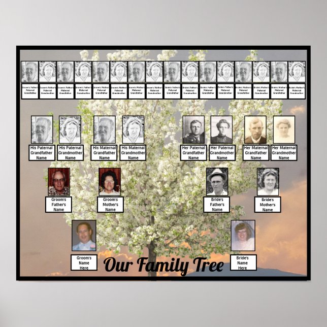 Two Family Tree Blossoms Tree Photo | Pink Sunset Poster (Front)