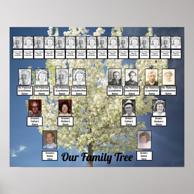 Two Family Trees Blossoming Tree Photo | Blue Sky Poster (Front)