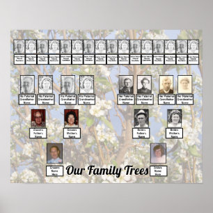 Two Family Trees on White Blossoms Photo     Poster