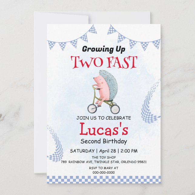 Two Fast wild porcupine bicycle 2nd Birthday Party Invitation (Front)