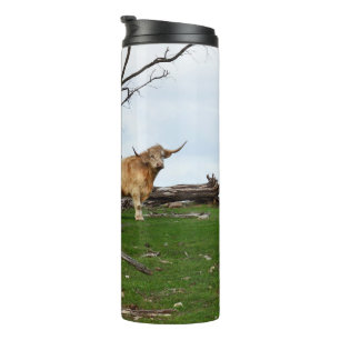 Two Fawn Highland Cows in Peaceful Country Lands, Thermal Tumbler