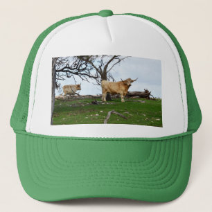 Two Fawn Highland Cows in Peaceful Country Lands, Trucker Hat