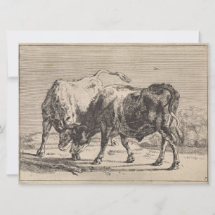 Two Fighting Bulls (by Paulus Potter) Card