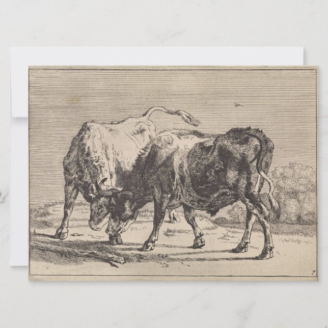 Two Fighting Bulls (by Paulus Potter) Card (Front)