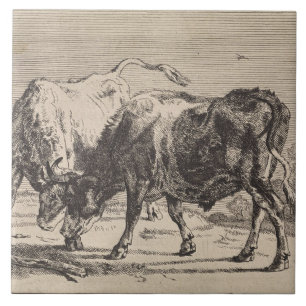 Two Fighting Bulls (by Paulus Potter) Ceramic Tile
