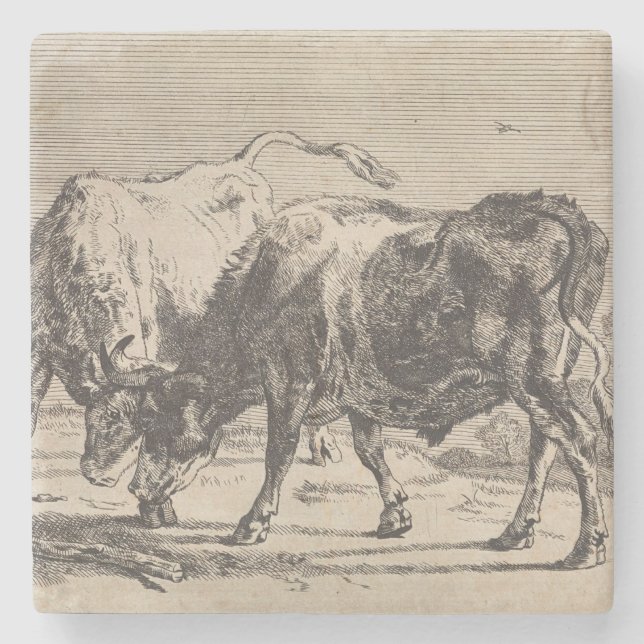 Two Fighting Bulls (by Paulus Potter) Stone Coaster (Front)