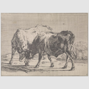 Two Fighting Bulls (by Paulus Potter) Tissue Paper