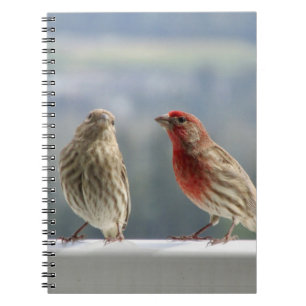 Two Finches Flirting. Notebook