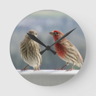 Two Finches Flirting. Round Clock